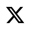 Peer Study公式X